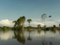 Bacajá janeiro 2012 255